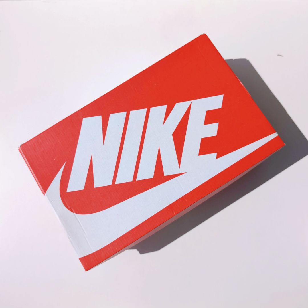 NIKE AIR MAX 95 UTILITY NRG"Mt.Fuji" | 24.5cm | CT3689-600