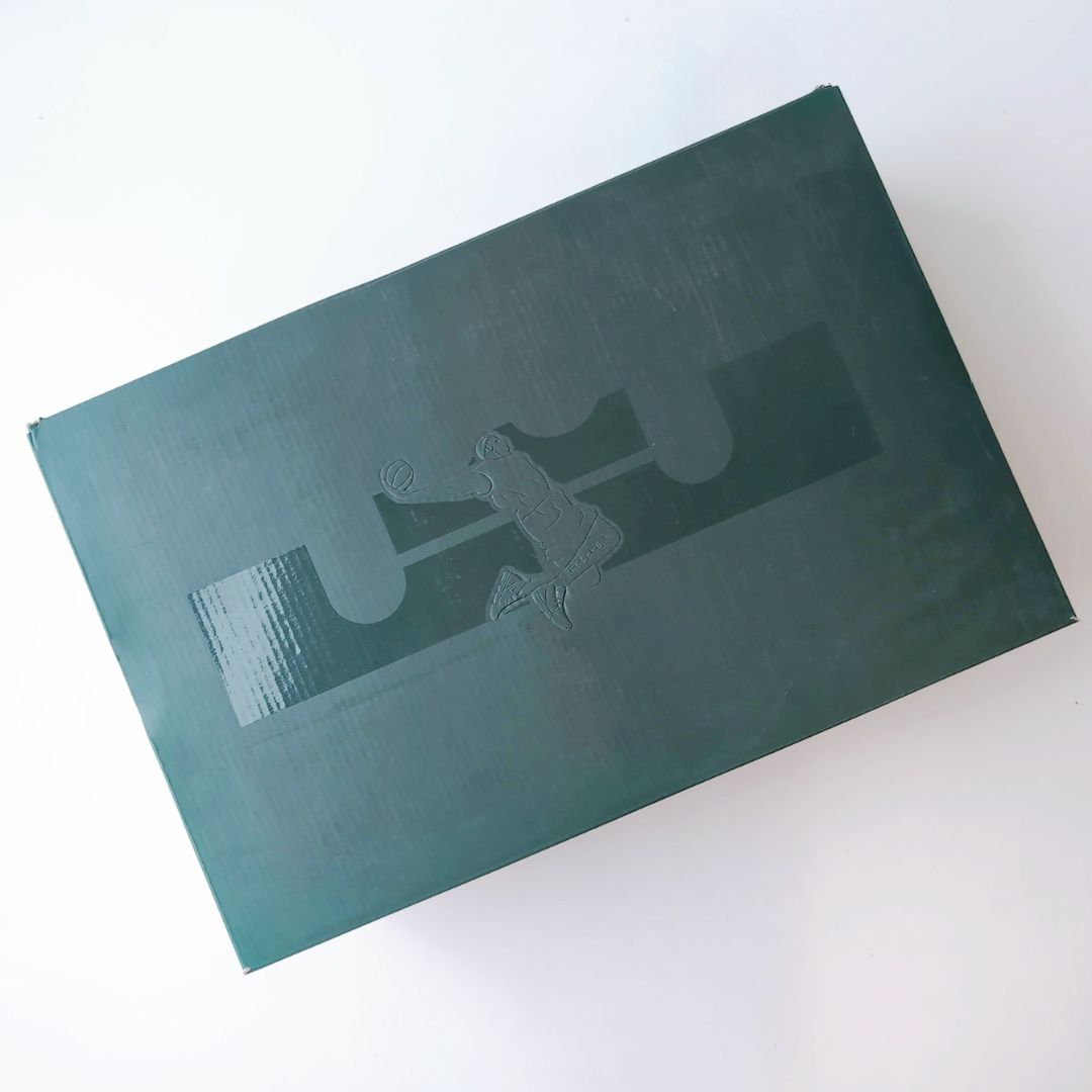 NIKE LEBRON XVI LOW AC KUMQUAT-BLACK | 25.0cm | CD9471-800