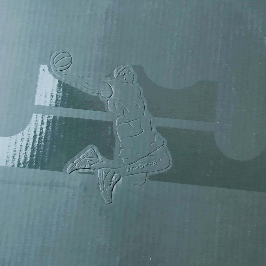 NIKE LEBRON XVI LOW AC KUMQUAT-BLACK | 25.0cm | CD9471-800