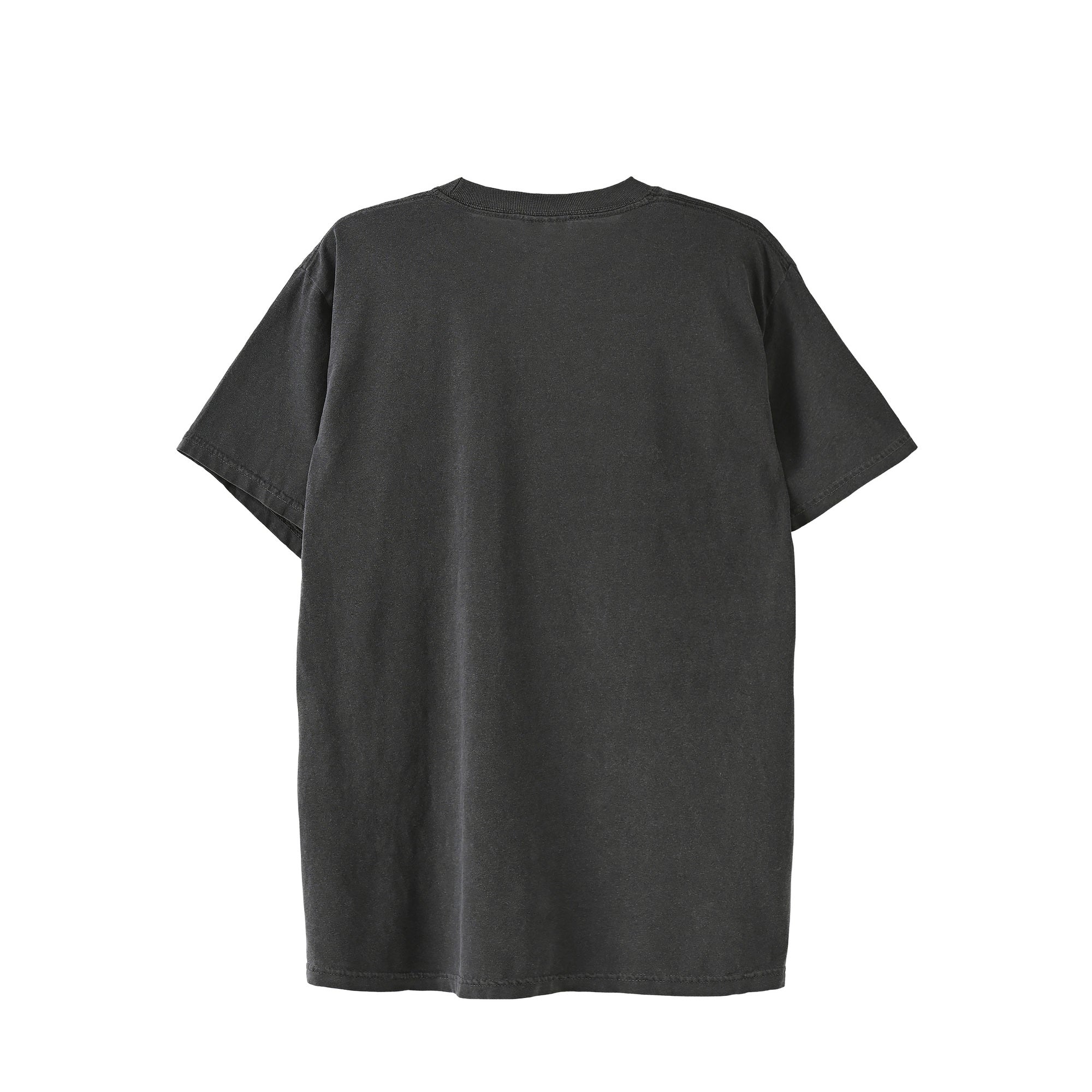 TAP WATER JAM JAPAN 2026 Tシャツ｜ヴィンテージダークグレー black image